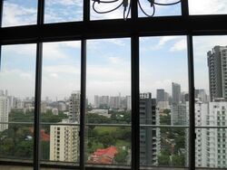 Twin Heights (D12), Apartment #576220701